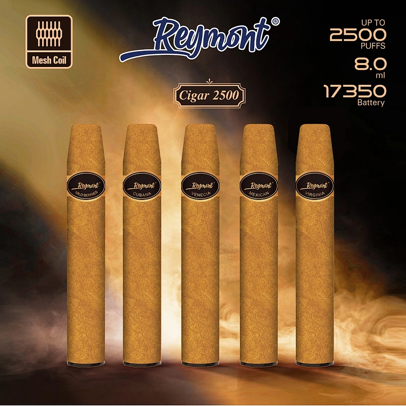 Cigar 2500 Puffs Mesh Cigar Vape Pen linkupgogo Cigar 2500 Puffs Mesh Cigar Vape Pen linkupgogo